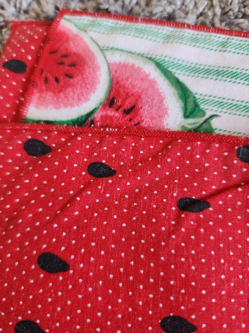Watermelon Cloth Napkins Set of 4 Reversible Summer 20x20